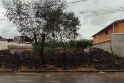 Lote Bairro Cidade Nova