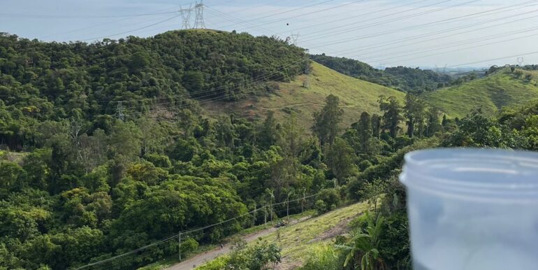 WhatsApp Image 2025-08-05 at 12.38.09