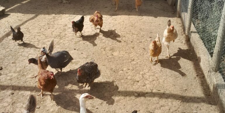 WhatsApp Image 2024-09-08 at 19.33.54