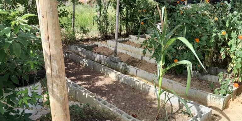 WhatsApp Image 2024-09-08 at 19.33.55 (2)